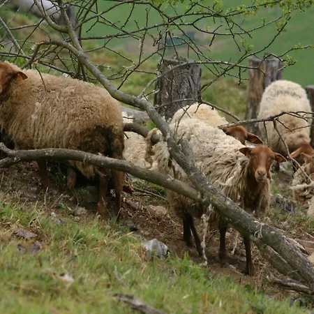 Near Ourthe River And The Of Durbuy Chalet *