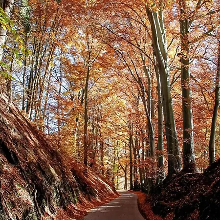 Near Ourthe River And The Of Durbuy