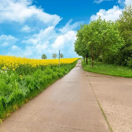 Near Durbuy With Private Garden Chalet