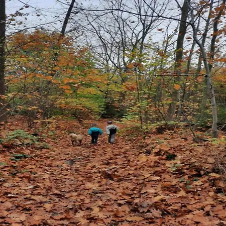 Near Durbuy With Private Garden Шале *