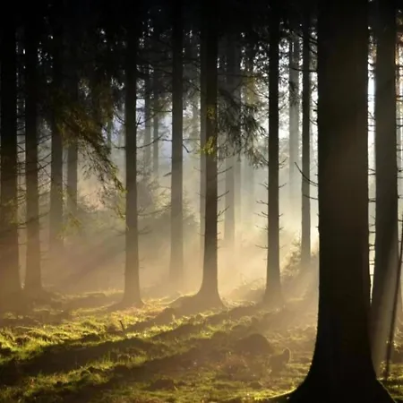 Near Durbuy With Private Garden * Vieuxville