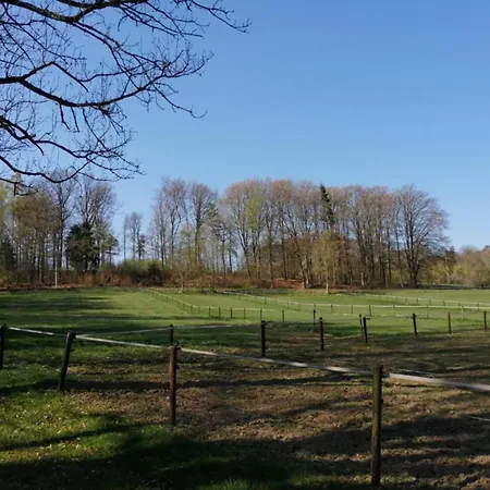 Chalet Near Durbuy With Private Garden